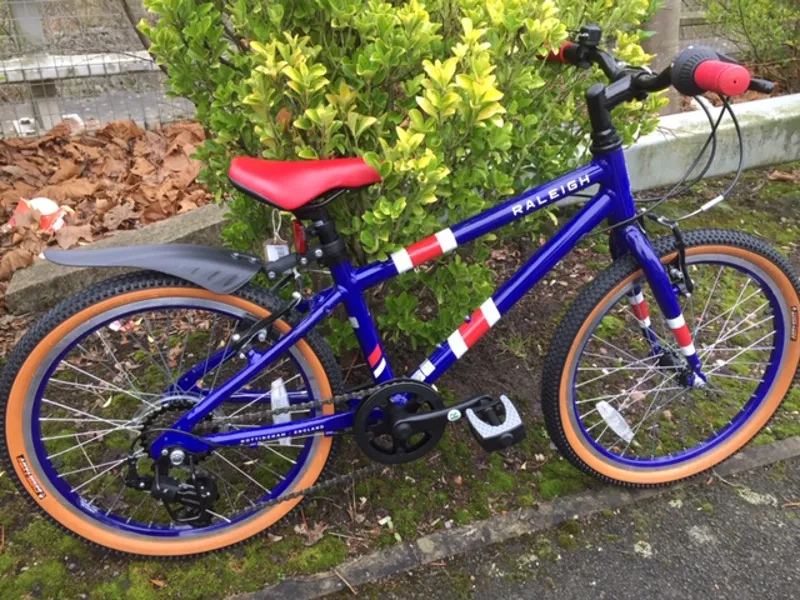 2020 Raleigh Pop 20 Kids Bike in Blue