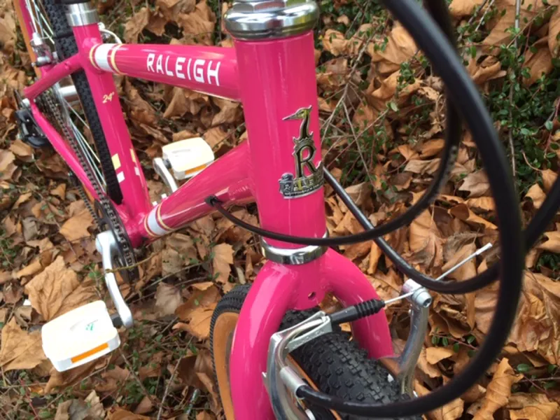Raleigh discount pop 24